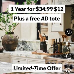 Ann Taylor button down shirt white with black edging
 0 Petite non iron